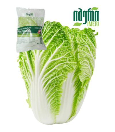 ჩინური კომბოსტო